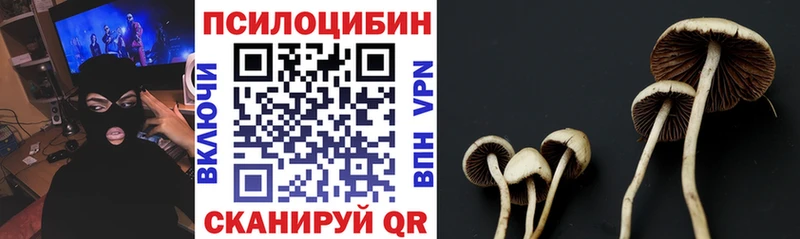 Галлюциногенные грибы GOLDEN TEACHER  купить  цена  Мирный 
